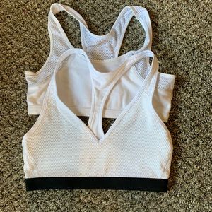 Victoria Sport and limited too